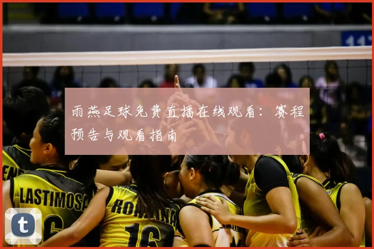 雨燕足球免费直播在线观看：赛程预告与观看指南