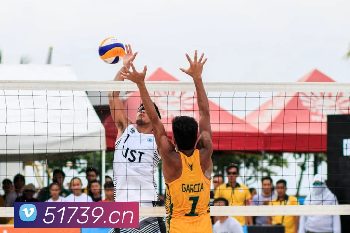 App Interface Preview